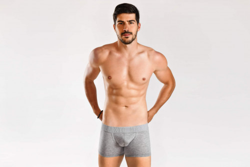 COTTONMAX L